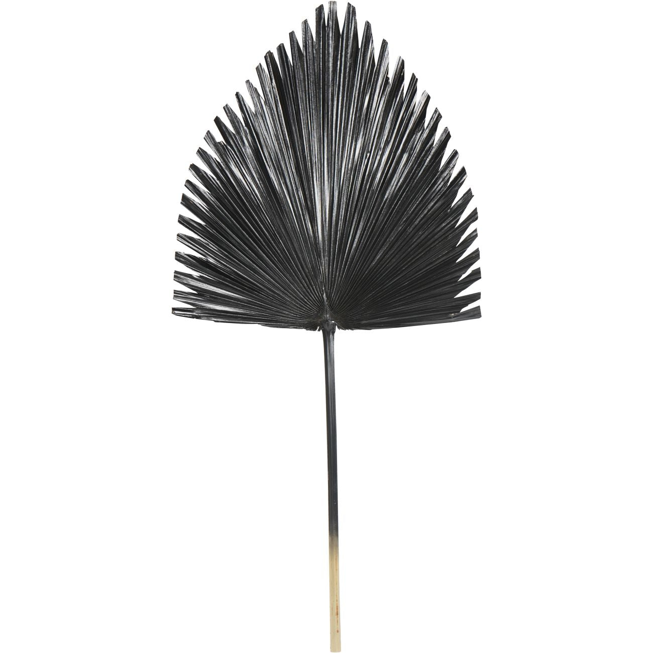 Arrowhead Palm Leaf Black