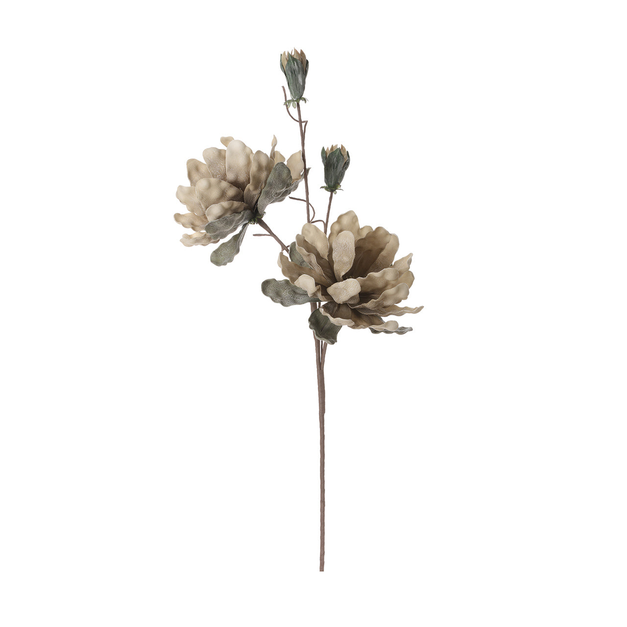 98cm Foam Double Stem Flower Cream