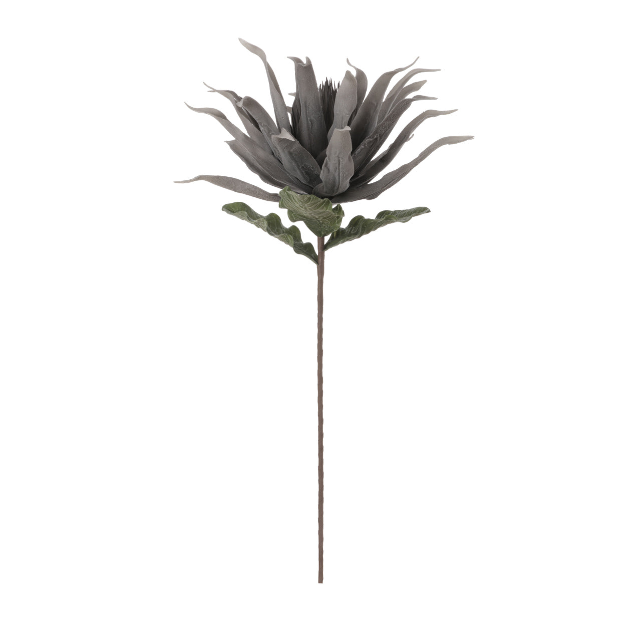86cm Foam Protea Grey
