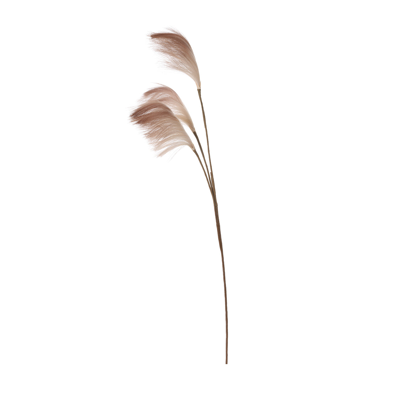 91cm Triple Stem Pampas Grass Coffee Brown