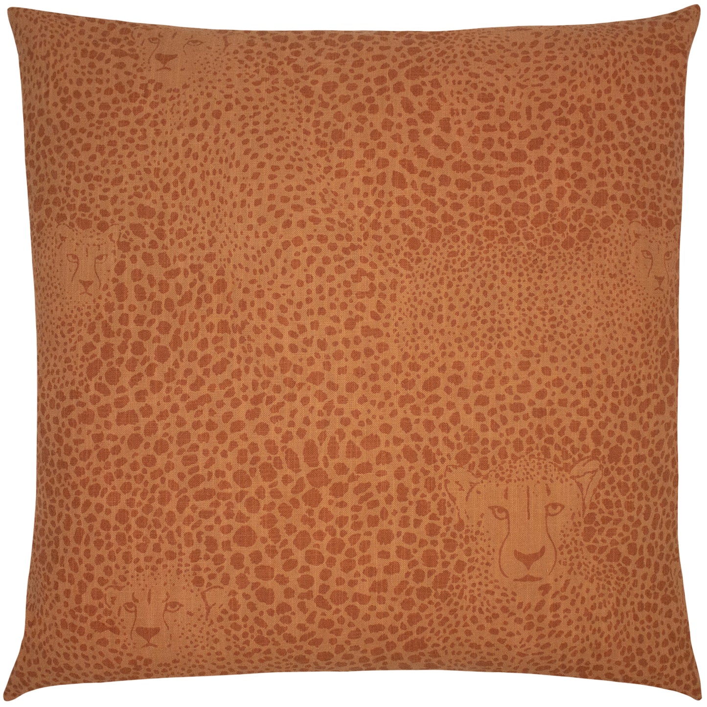 HIDDEN CHEETAH 50X50 FEATHER FILLED CUSHION TERRACOTTA