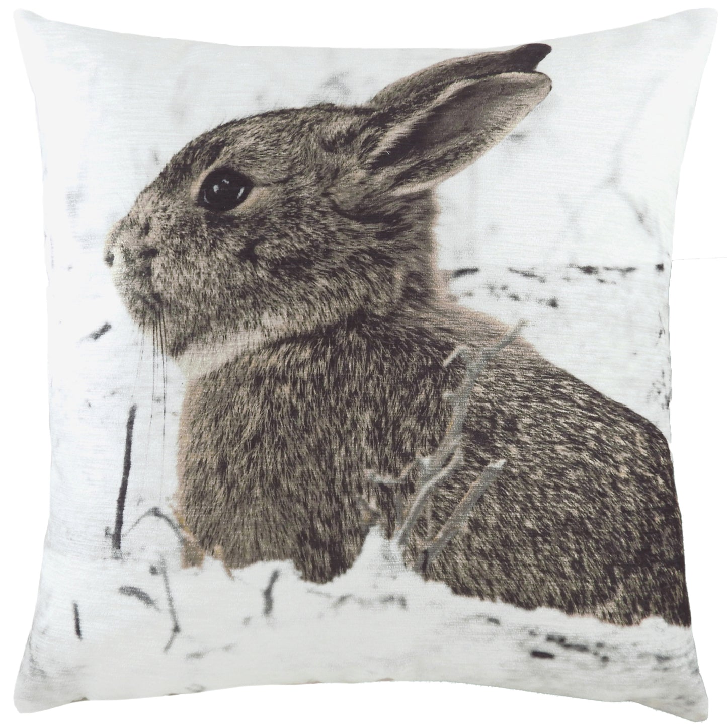 PHOTO HARE 43X43 FEATHER FILLED CUSHION MULTI