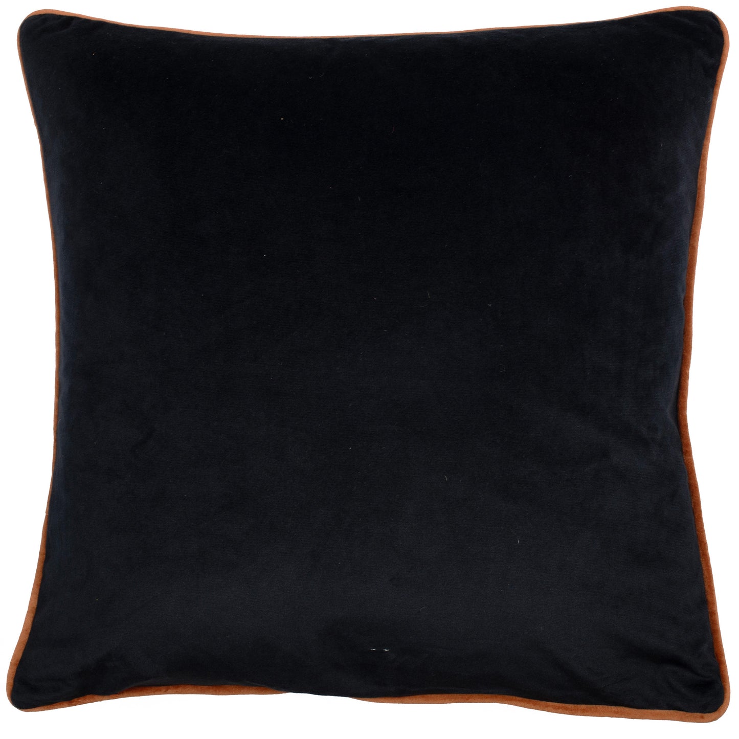 Printed Hummingbirdcushion with embroidary and piped 45 x 45