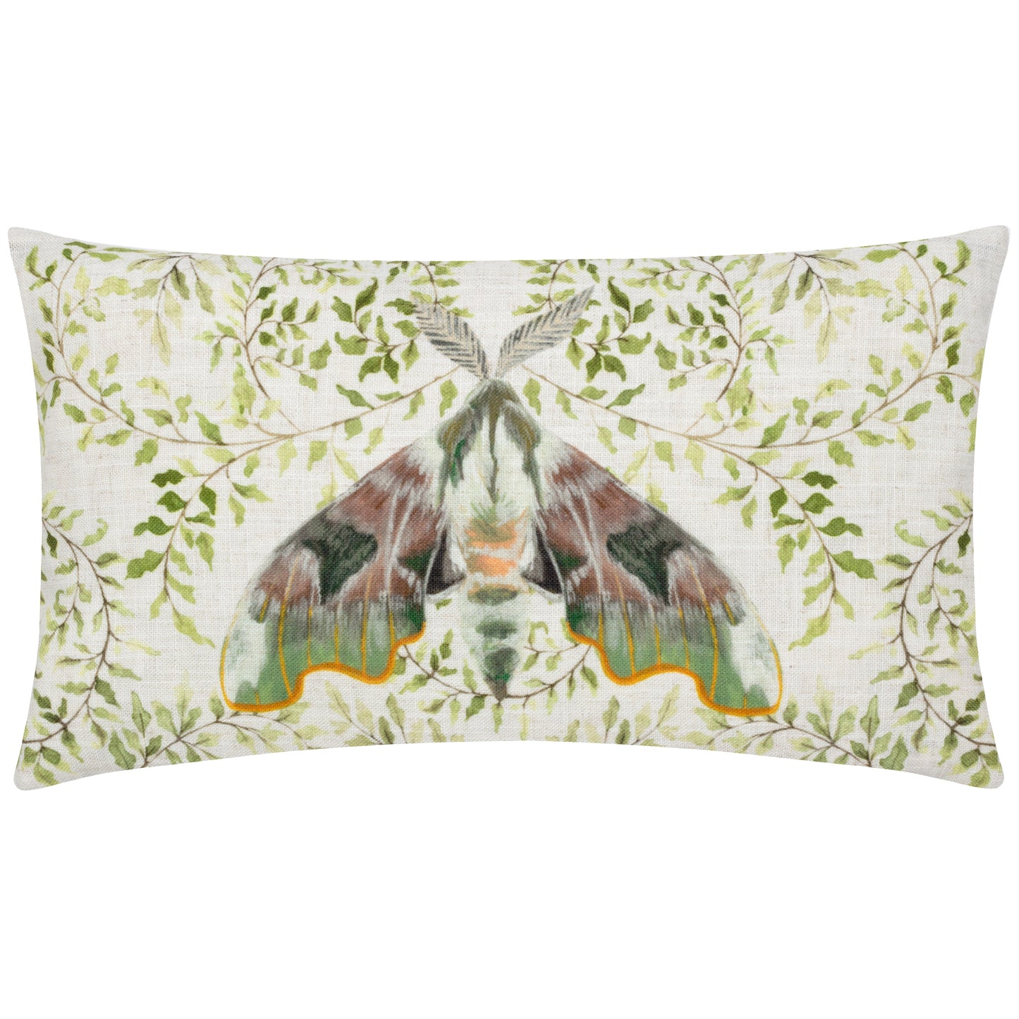 SHUGBOROUGH MOTH 30X50 FEATHER FILLED CUSHION MULTI