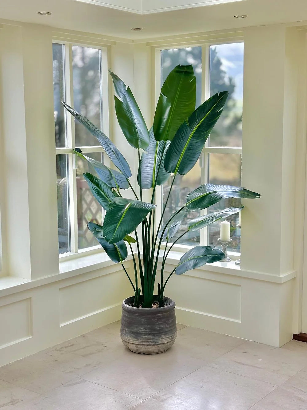 Palm Plant Large Pot