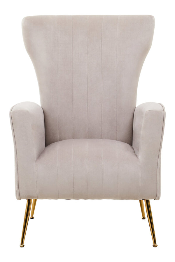Zamora Mink Velvet Accent Chair With Gold Finish Legs detail image – Xshowhome furniture