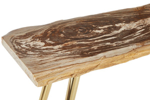 Relic Petrified Wood Console Table detail image – Xshowhome furniture