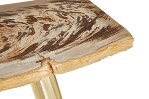 Relic Petrified Wood Console Table detail image – Xshowhome furniture