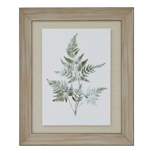Watercolour Bracken Fern in Washed Wood Frame