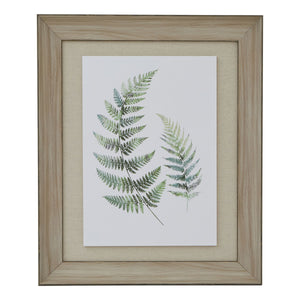 Watercolour Fern Duo in Washed Wood Frame