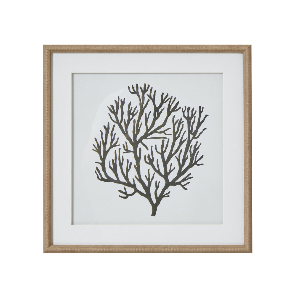 Atol Coral Art Mounted in Beaded Frame