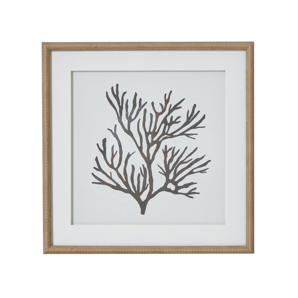 Reef Coral Art Mounted in Beaded Frame