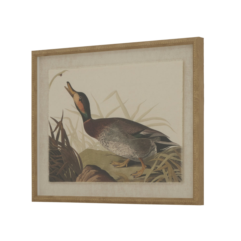 Flora & Fauna Collection Duck on Linen in Beaded Frame
