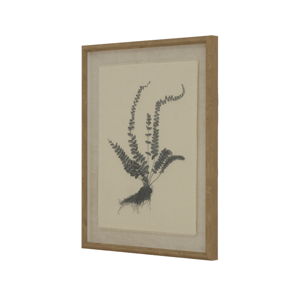 Flora & Fauna Collection Spleenwort on Linen in Beaded Frame