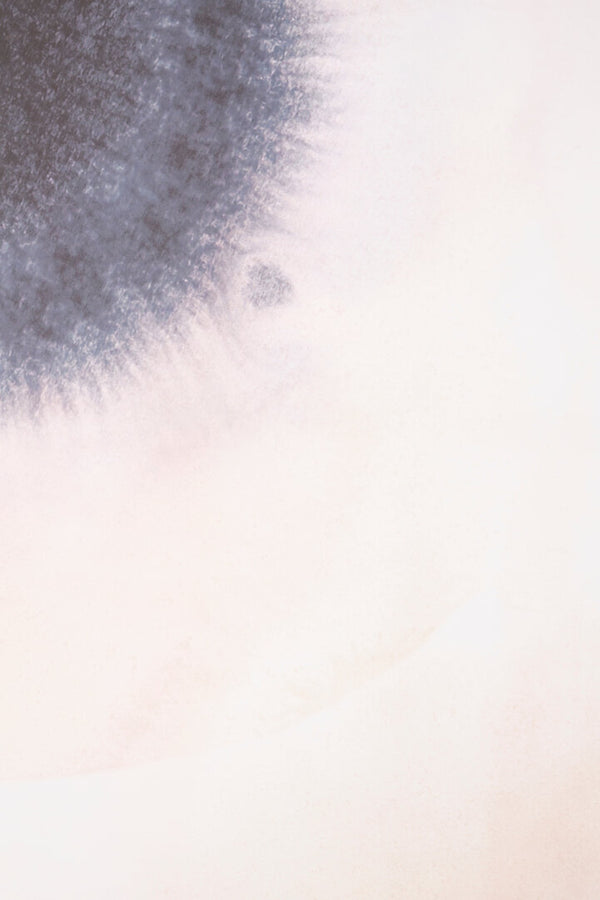 Astratto Canvas Classic Wall Art detail image – Xshowhome furniture