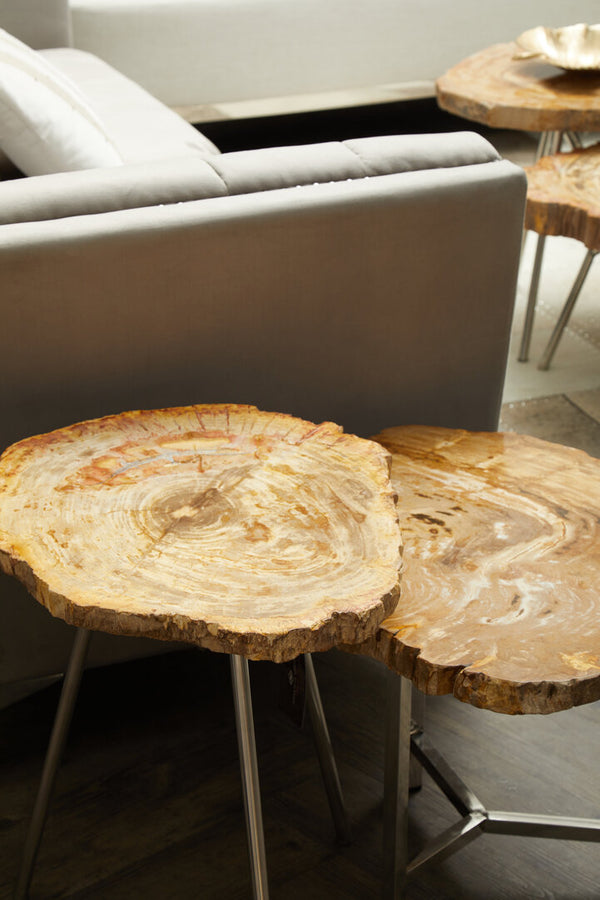 Relic Small Petrified Wood Side Table detail image – Xshowhome furniture