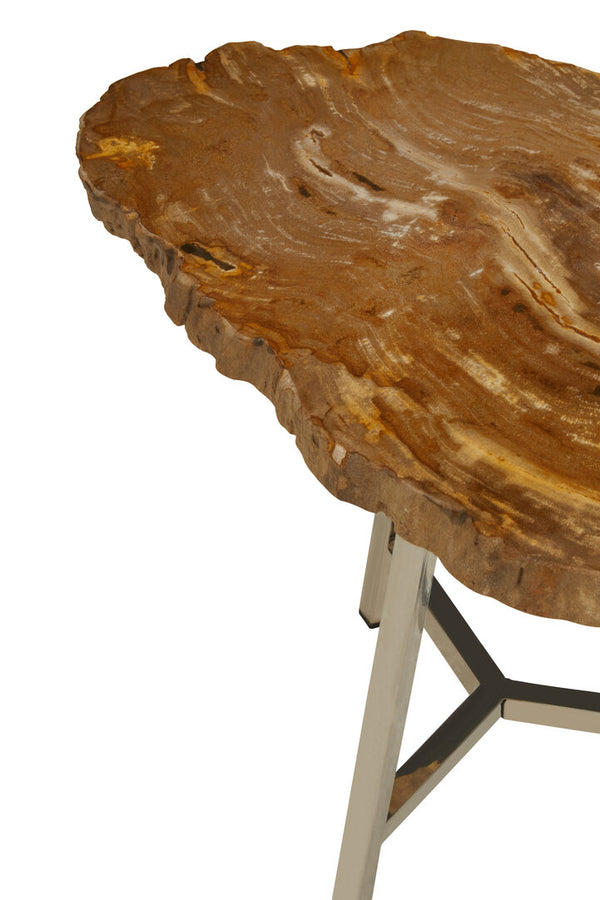 Relic Small Petrified Wood Side Table detail image – Xshowhome furniture
