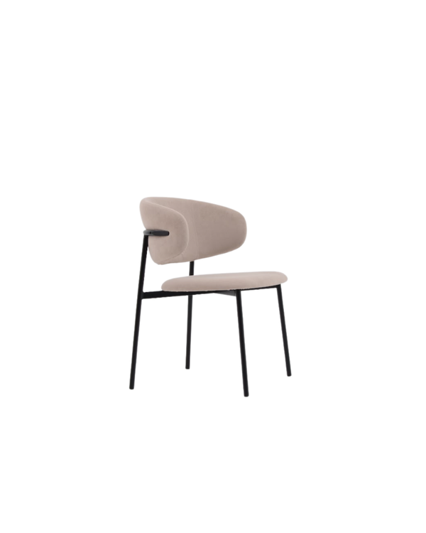 Scout Dining Chair - Set of 2 - Tommy Franks