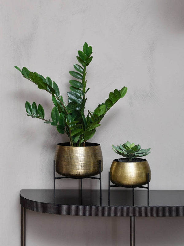 Clyde Tabletop Brass Set of 2 Planters by Libra, image 6