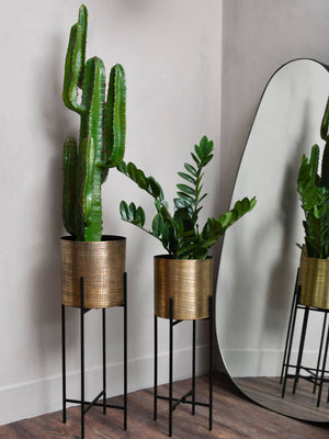 Clyde Floor Standing Brass Set of 2 Planters by Libra, image 6