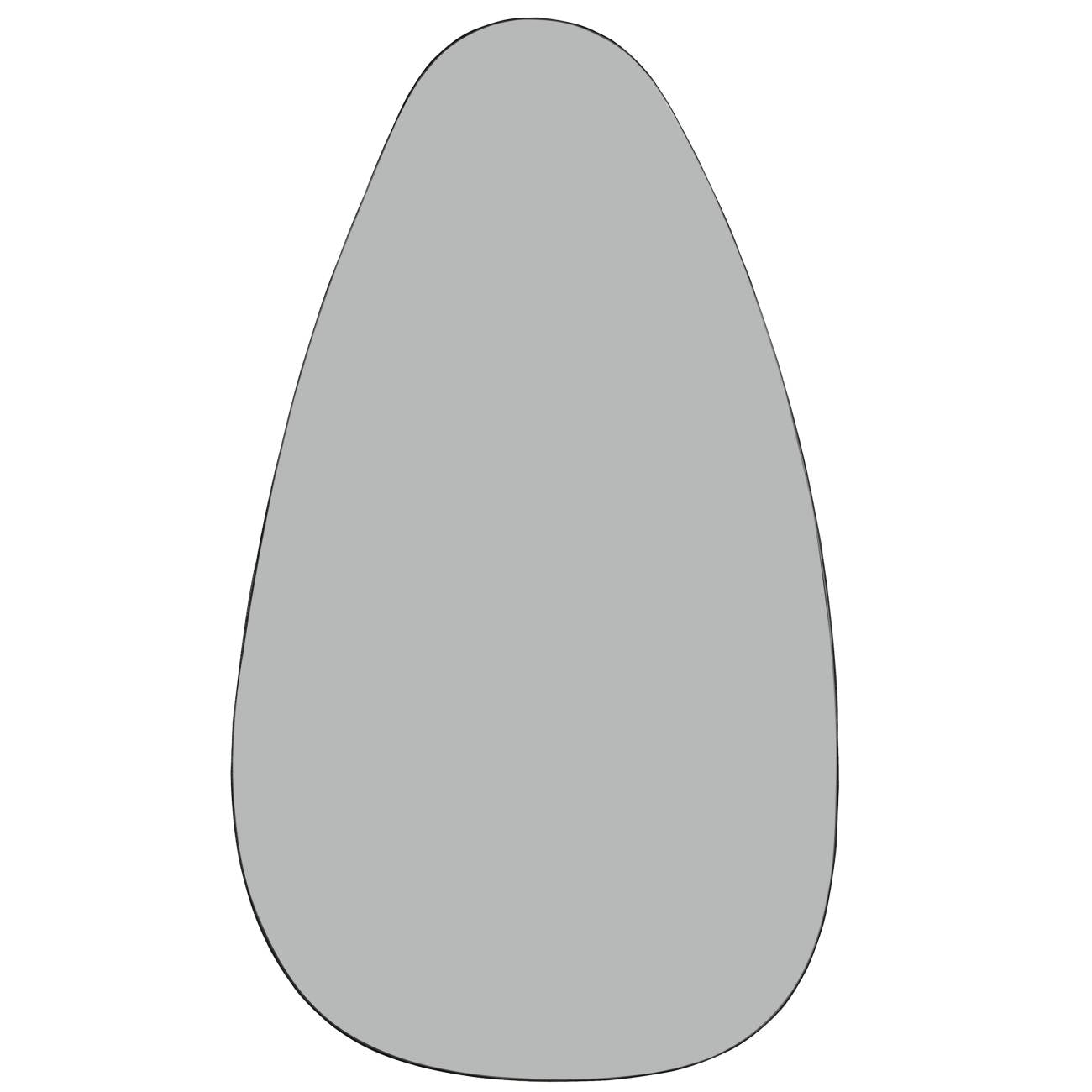 Organic Oversized Metal Framed Mirror Oak Wood Finish 150x86cm