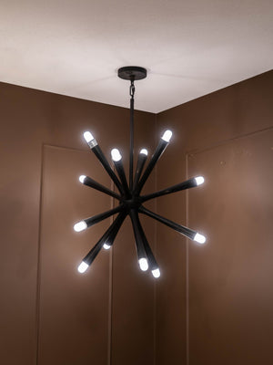 Arren 12 Arm Chandelier by Libra, image 2