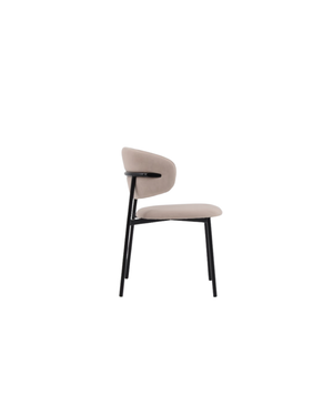 Scout Dining Chair - Set of 2 - Tommy Franks