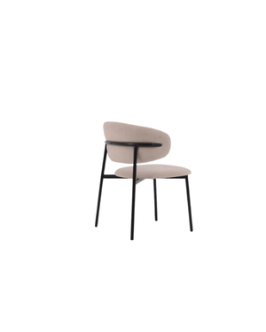 Scout Dining Chair - Set of 2 - Tommy Franks