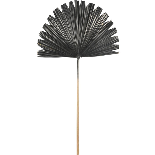 Wide Fan Palm Leaf Black