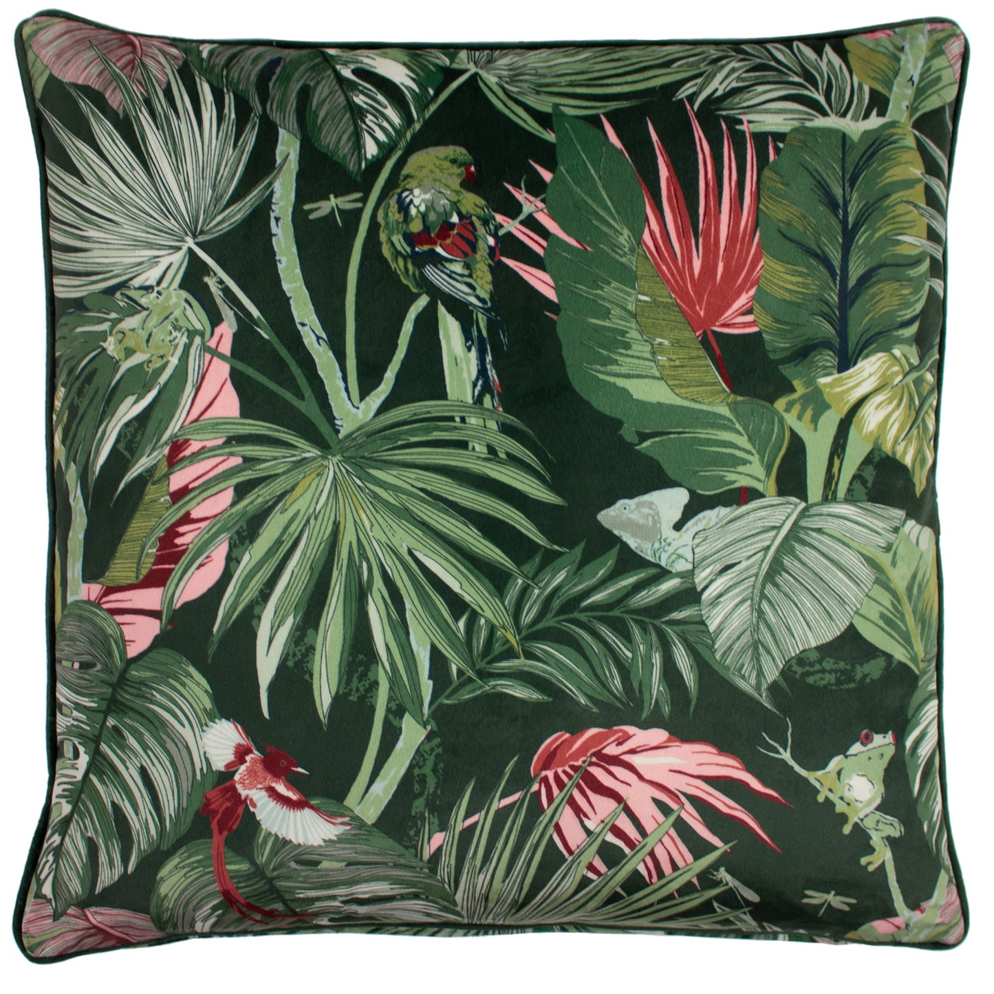 AMAZON CREATURES 50X50 FEATHER FILLED CUSHION JADE