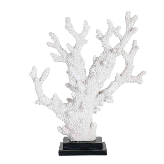 Faux Coral Adam (White)