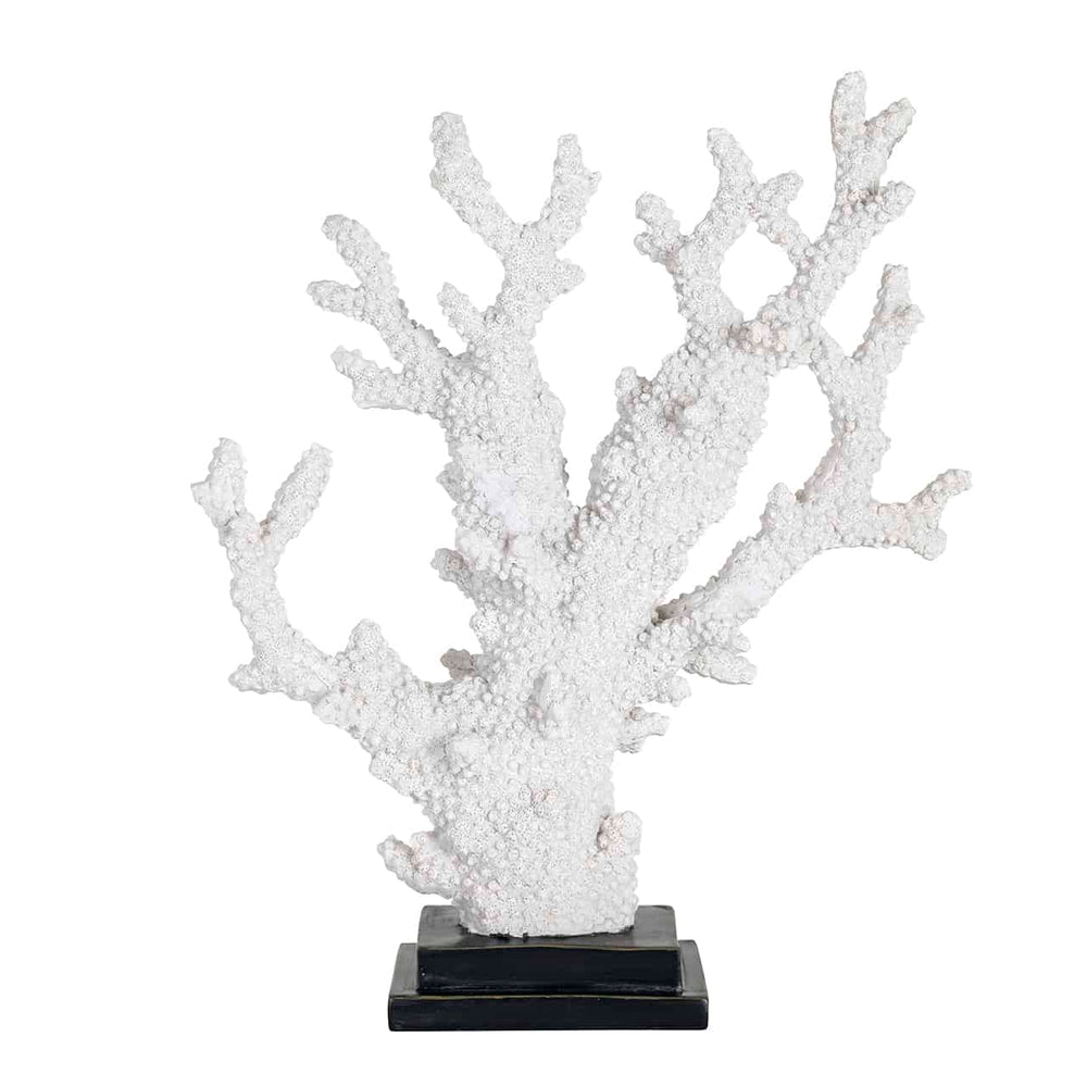 Faux Coral Adam (White)