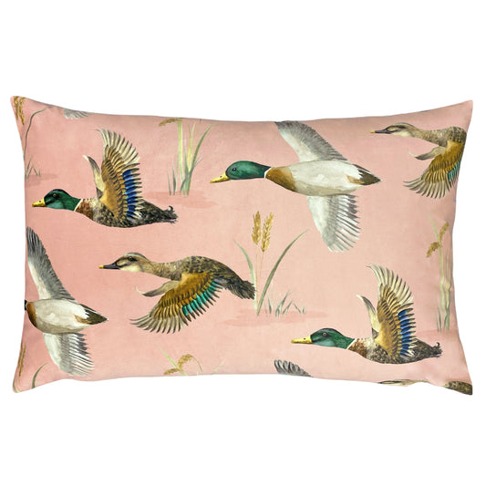 COUNTRY DUCK POND 40X60 FEATHER FILLED CUSHION BLUSH