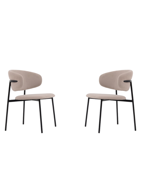 Scout Dining Chair - Set of 2 - Tommy Franks