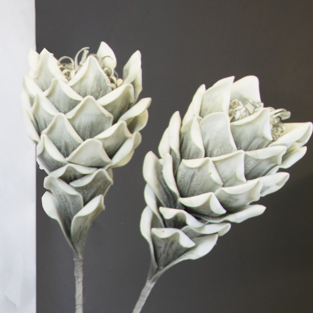 100cm Foam Protea Stem Grey