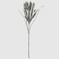 115cm Foam Exotic Flower Grey