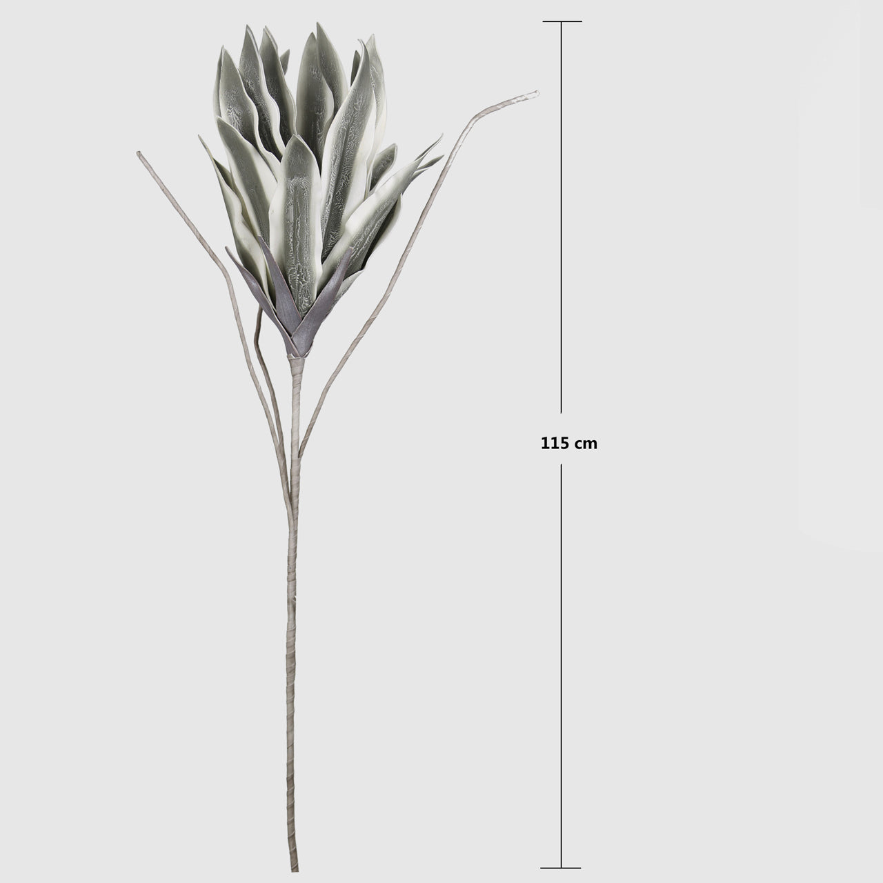 115cm Foam Exotic Flower Grey