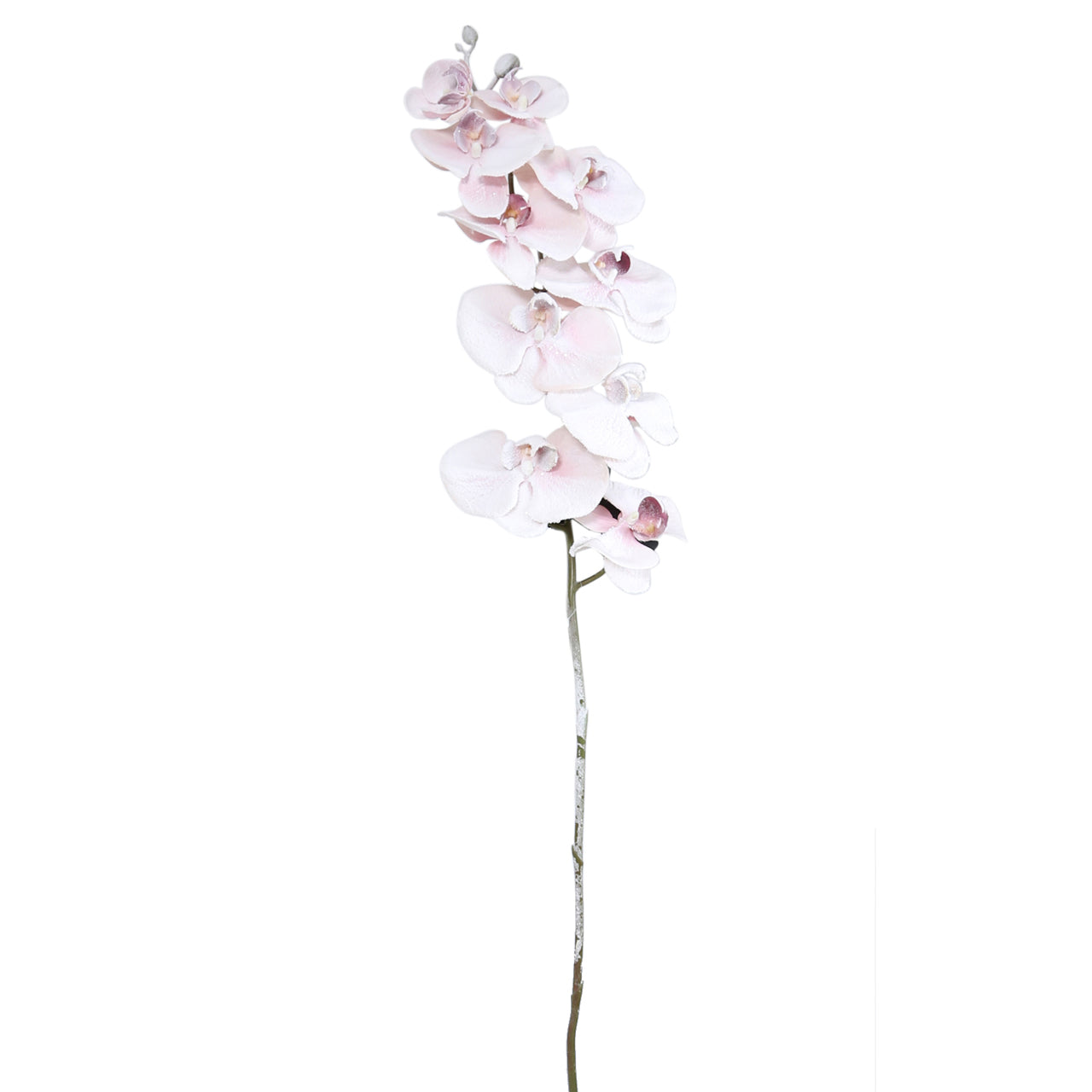 120cm Orchid Flower Pink