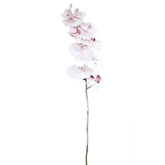 120cm Orchid Flower Pink