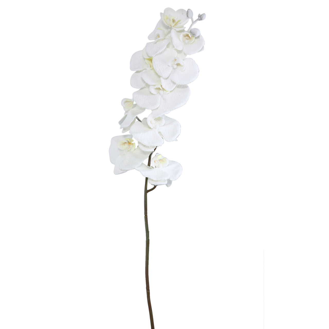 120cm Orchid Flower White