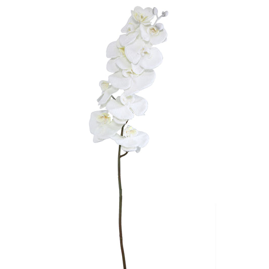 120cm Orchid Flower White