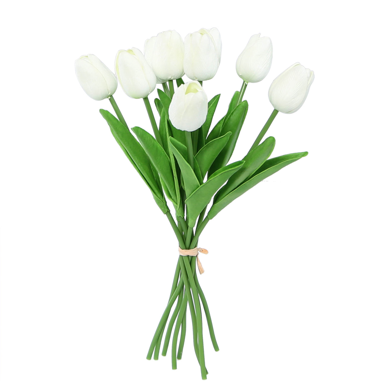 White Tulip Bunch Of 9