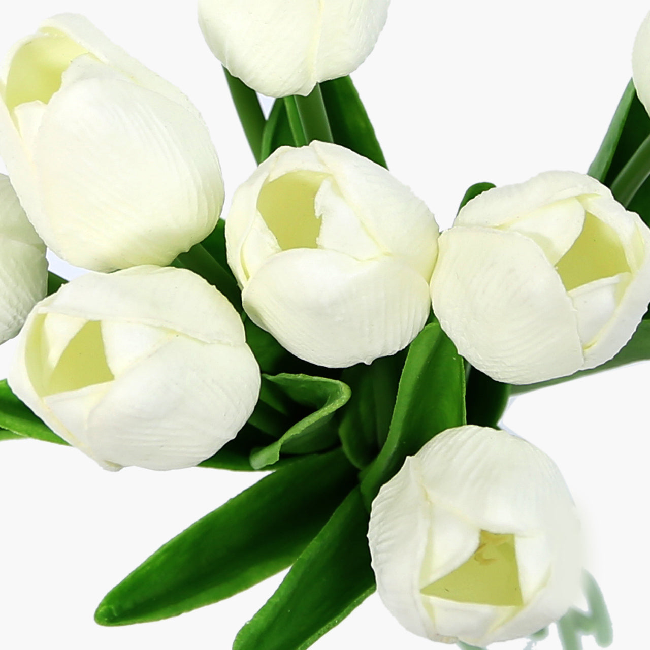 White Tulip Bunch Of 9