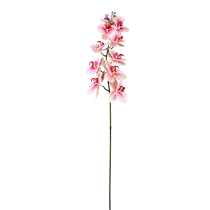 106cm Magic Touch Orchid Pink