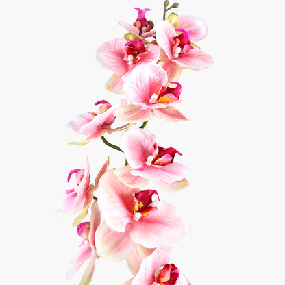 106cm Magic Touch Orchid Pink