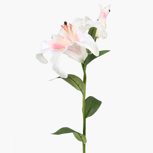 Magic Touch 1 Flower 1  Bud Lily Pink