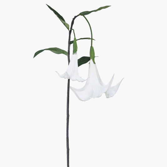 Magic Touch Angels Trumpet White