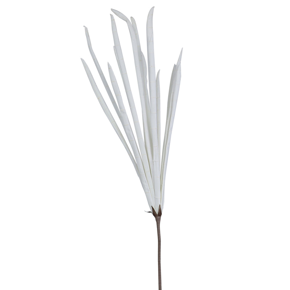 154cm Bamboo Ray White White