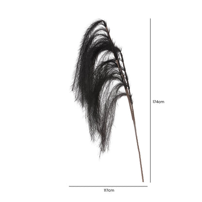 174cm Pampas Grass Spray Black