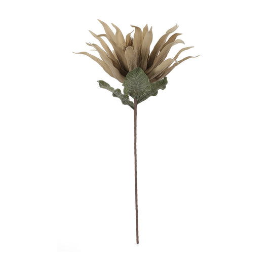 86cm Foam Protea Cream